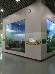 自然博物馆