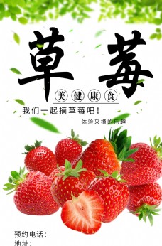 水果活动采摘草莓海报